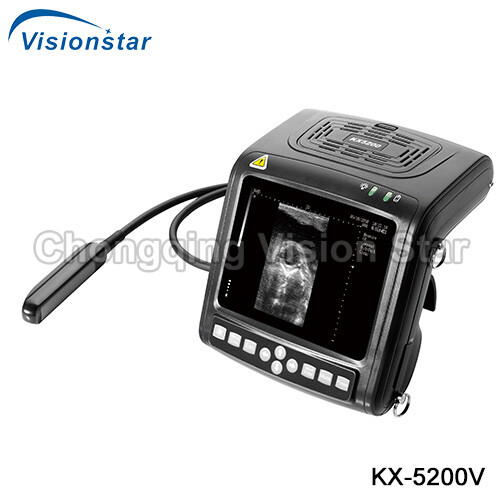 KX-5200V B Mode Veterinary Ultrasound Scanner