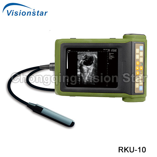 RKU-10 Veterinary Ultrasound Scanner