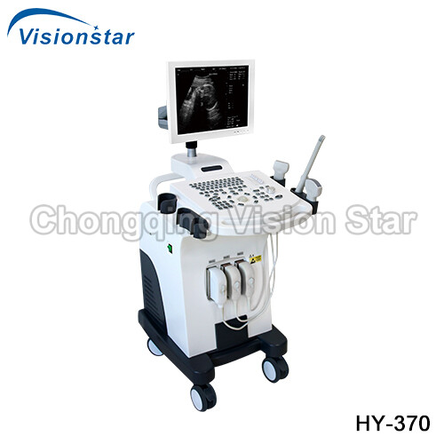 HY-370 Full-Digital Black and White Trolley Ultrasound