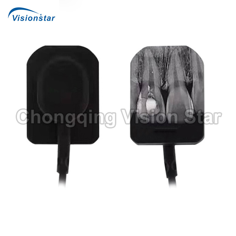 HY-C62 Dental X Ray Sensor