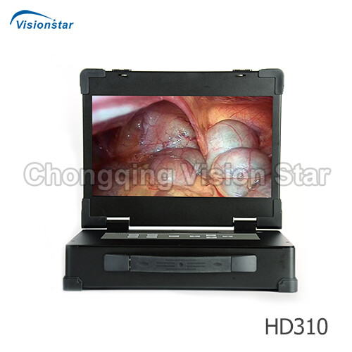 Endoscope Camera system HD310