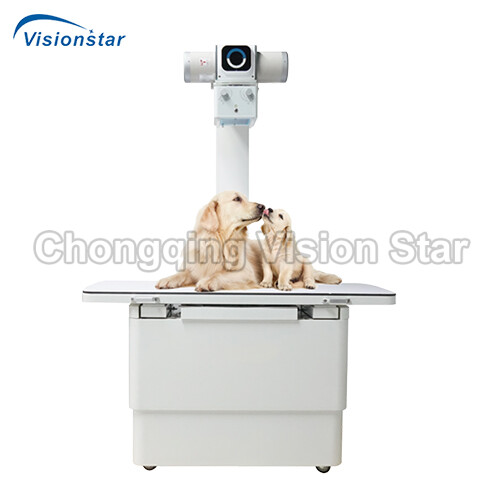 VX400 Floor-mounted Veterinary X-ray System