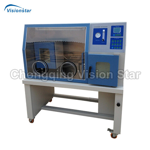 LIB2 Anaerobic Incubator