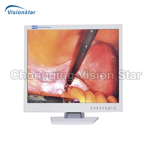 EED19 Endoscopy Monitor