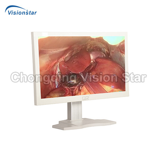 EED19A Endoscopy Monitor