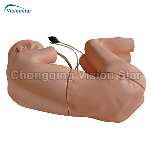 AMT477 Lumbar Puncture Model