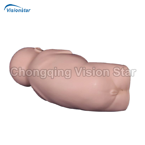 AMT479 Infant Lumbar Puncture Training Model