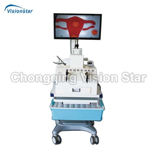 AMTFJQ-1 Laparoscopic Surgery Training Model